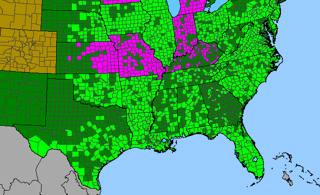 The range of Solanum ptychanthum